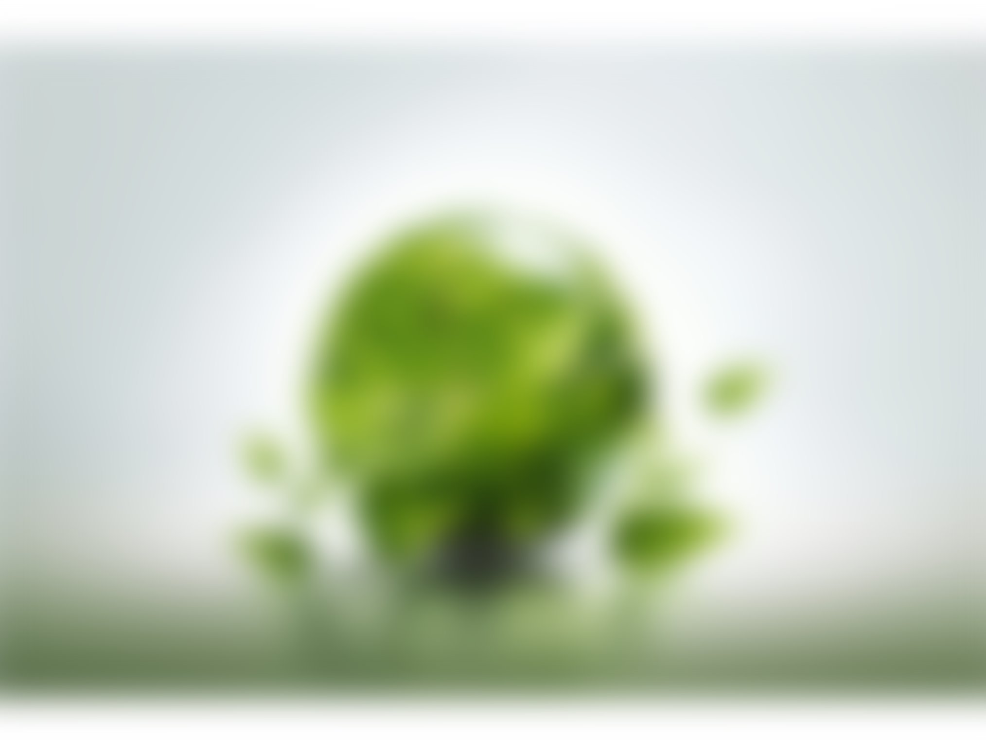 Yushunxin company history